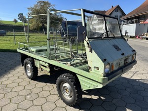 Haflinger Steyr Puch