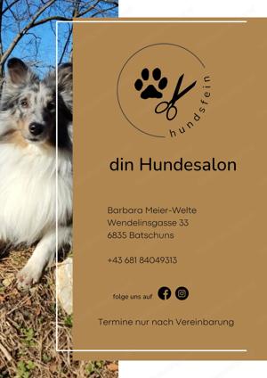 hundsfein - din Hundesalon