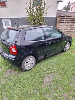 VW Polo Bild 2