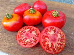 Tomate Marmande Tomatensamen - alte französische Sorte