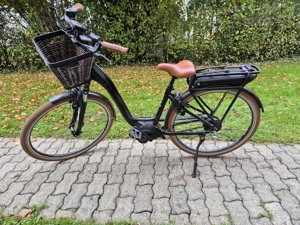 Riese & Müller Swing Vario WA 2023 E-Bike Bild 2