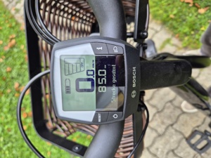 Riese & Müller Swing Vario WA 2023 E-Bike Bild 5