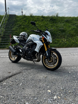 yamaha fz 8 n 