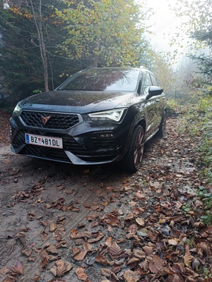 Cupra ateca Bild 5