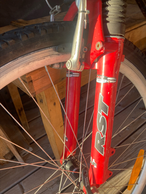 Mountainbike, Fahrrad Bild 4