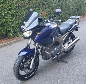 Yamaha TDM 900 Bild 1