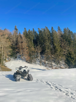 Quad dinli evo 800 