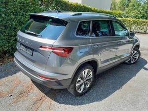 Skoda Karoq Bild 6