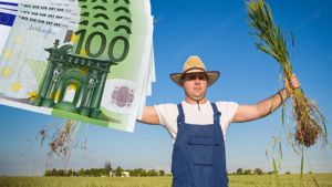 Kredit: Kapital und Investitionen zur Umsetzung Ihrer Aktivitäten in 48 Stunden
