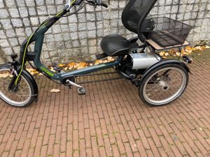 Van raam easy rider 3 TEILBAR elektrisch Bild 2