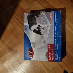 Katzen Intelligenz Spielzeug, Streumatte, Katzentunnel, Katzenbox, Transportbox Bild 3