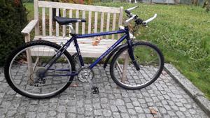 Bulls Mountainbike Kult Fahrrad ca. 30 Jahre alt