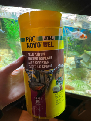 Aquarium mit voller Ausstattung