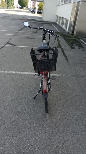 D--Ebike.28",Flyer,gebraucht,gut in Schuss,bis 25 Motorunterstützung. Bild 3