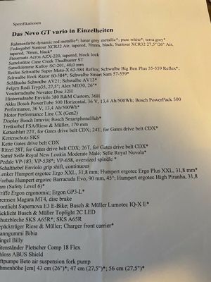 E-Bike Tiefeinsteiger Riese und Müller NEVO GT Vario Bild 3