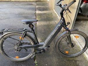 E-Bike Tiefeinsteiger Riese und Müller NEVO GT Vario Bild 2