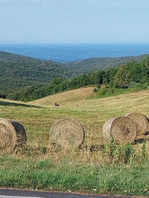 Ferienwohnung in der Toscana zu verkaufen Bild 2