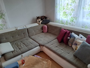 Alte Couch zu verschenken 