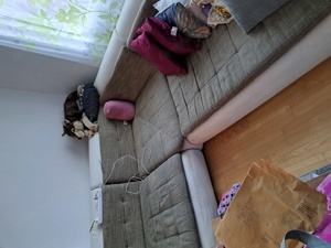 Alte Couch zu verschenken  Bild 4