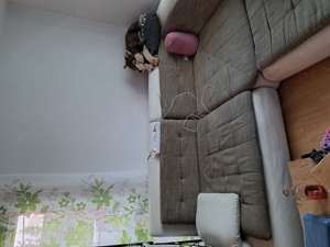 Alte Couch zu verschenken  Bild 5