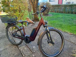 Neuwertiges e-bike Bild 2