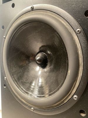 Acapella Violon 1 High End Horn Lautsprecher Boxen mit ION TW 1S Ionenhochtöner Bild 9