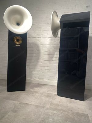 Acapella Violon 1 High End Horn Lautsprecher Boxen mit ION TW 1S Ionenhochtöner Bild 2