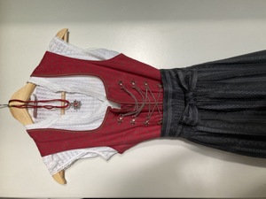 Schönes Dirndl inkl. Bluse, Kette, Schürze Bild 3