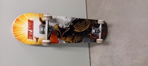  Skateboard  bunt mit Vogel Bild 1