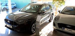 Ford Kuga Bild 2