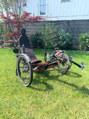 Steintrikes Wild One 2020 Liegerad Trike