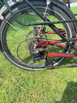 Steintrikes Wild One 2020 Liegerad Trike Bild 2