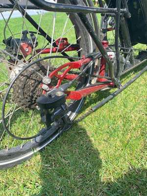 Steintrikes Wild One 2020 Liegerad Trike Bild 9