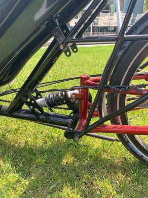 Steintrikes Wild One 2020 Liegerad Trike Bild 4
