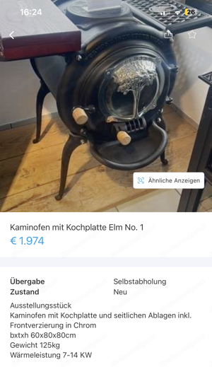 Div. Kamin- und Schwedenöfen Bild 4