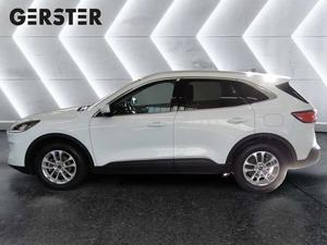 Ford Kuga Bild 3