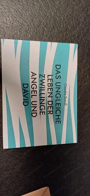 Neues Buch: Das ungleiche Leben der Zwillinge Angel und David Bild 2