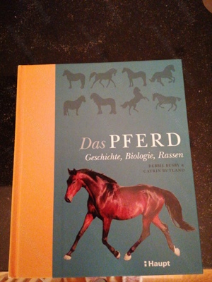 Das Pferd 