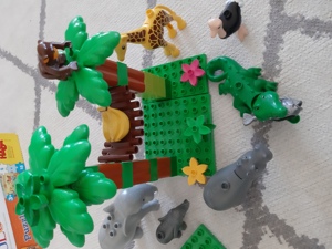 Lego Duplo Safari Abenteuer Wildtiere Flugzeug Bild 4