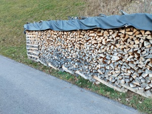 Brennholz 