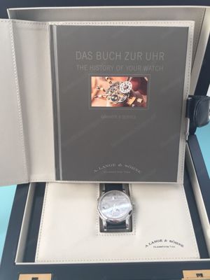 A. Lange & Söhne Langematik Perpetual Platin Bild 6