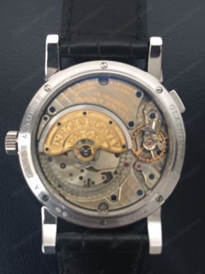 A. Lange & Söhne Langematik Perpetual Platin Bild 9