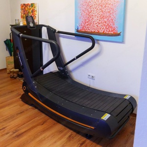 Taurus Run X , TreadMill, Laufband Bild 2