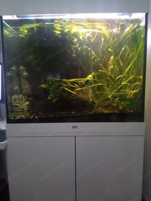 Aquarium Juwel LIDO 200 mit Unterschrank, HeliaLux LEDs und Smart Control Bild 2