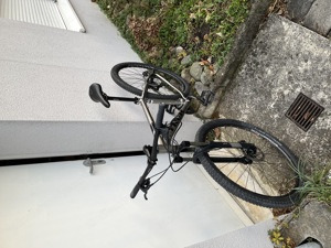 Fahrrad zeitlos Bild 2