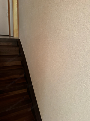 Verputzer Maler Spachtel übernehme  ich .  Bild 6