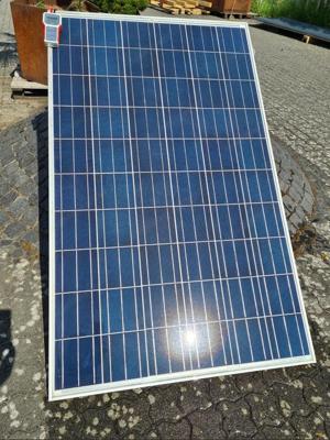 PV Module TRINA 245W gebraucht - Photovoltaik Modul