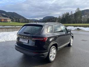 Skoda Karoq Bild 4