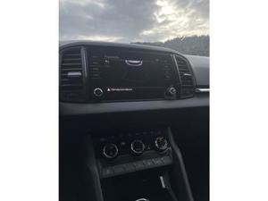 Skoda Karoq Bild 19