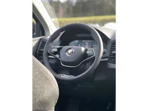 Skoda Karoq Bild 10